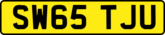 SW65TJU