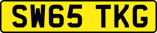 SW65TKG