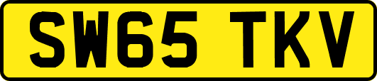 SW65TKV