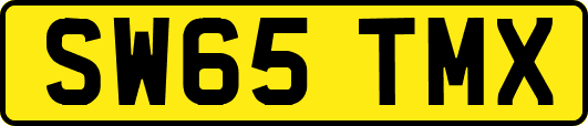 SW65TMX