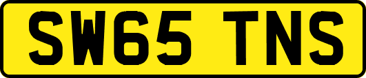 SW65TNS