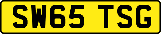 SW65TSG