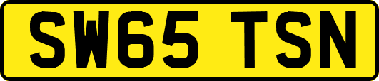 SW65TSN