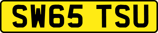 SW65TSU