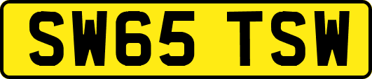SW65TSW
