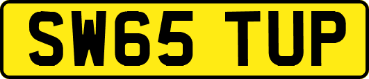 SW65TUP