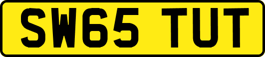 SW65TUT