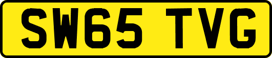 SW65TVG