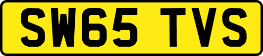 SW65TVS