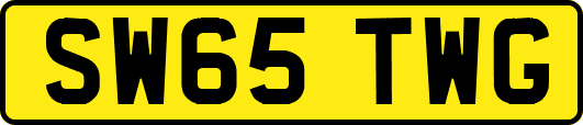 SW65TWG