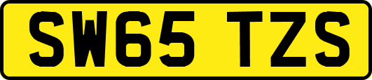 SW65TZS