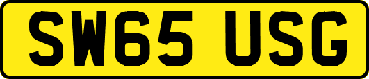 SW65USG