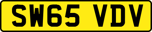 SW65VDV