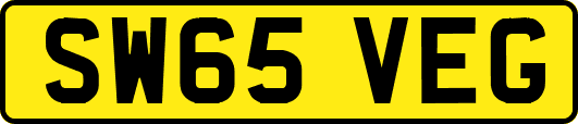 SW65VEG