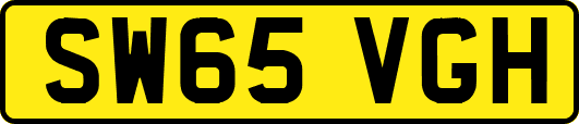 SW65VGH