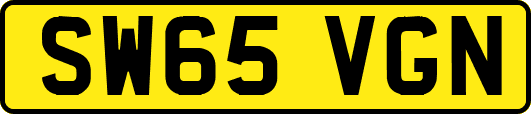 SW65VGN