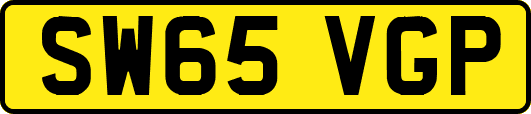 SW65VGP