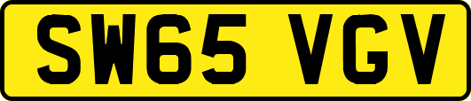 SW65VGV