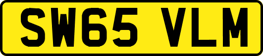 SW65VLM
