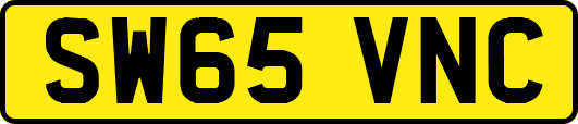 SW65VNC