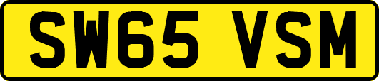 SW65VSM