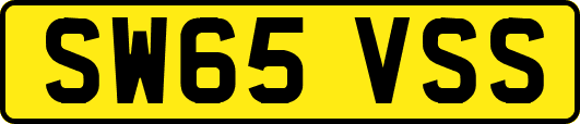SW65VSS