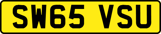 SW65VSU
