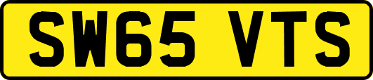 SW65VTS