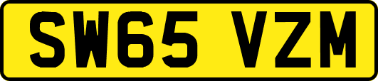 SW65VZM