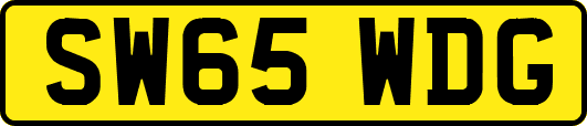 SW65WDG