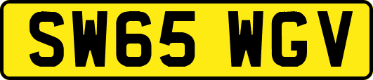 SW65WGV