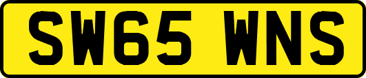 SW65WNS