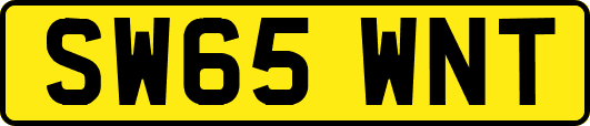 SW65WNT