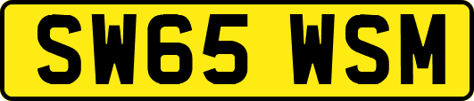 SW65WSM