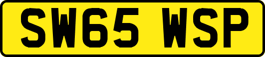 SW65WSP