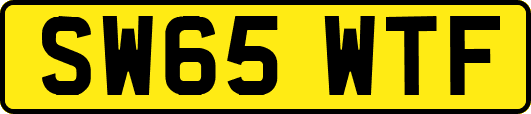 SW65WTF