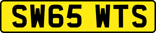 SW65WTS