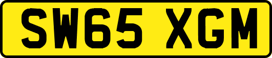 SW65XGM