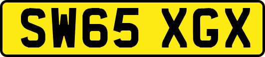 SW65XGX