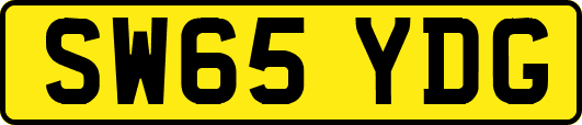 SW65YDG