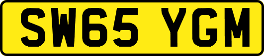 SW65YGM