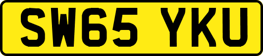 SW65YKU