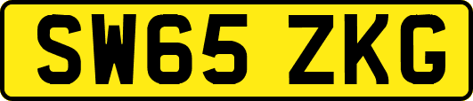 SW65ZKG