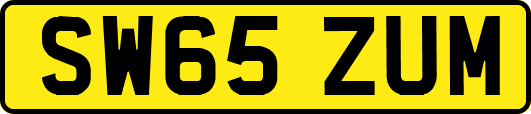 SW65ZUM