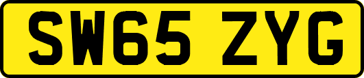 SW65ZYG