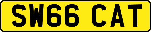 SW66CAT