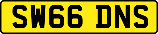 SW66DNS