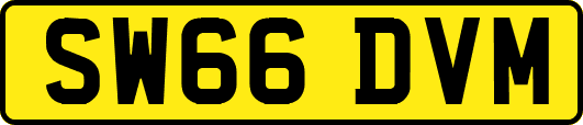 SW66DVM