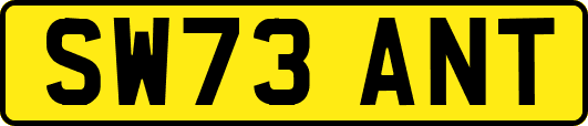 SW73ANT