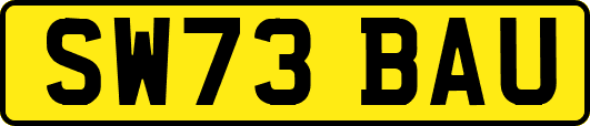 SW73BAU